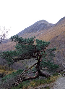 Glen Nevis